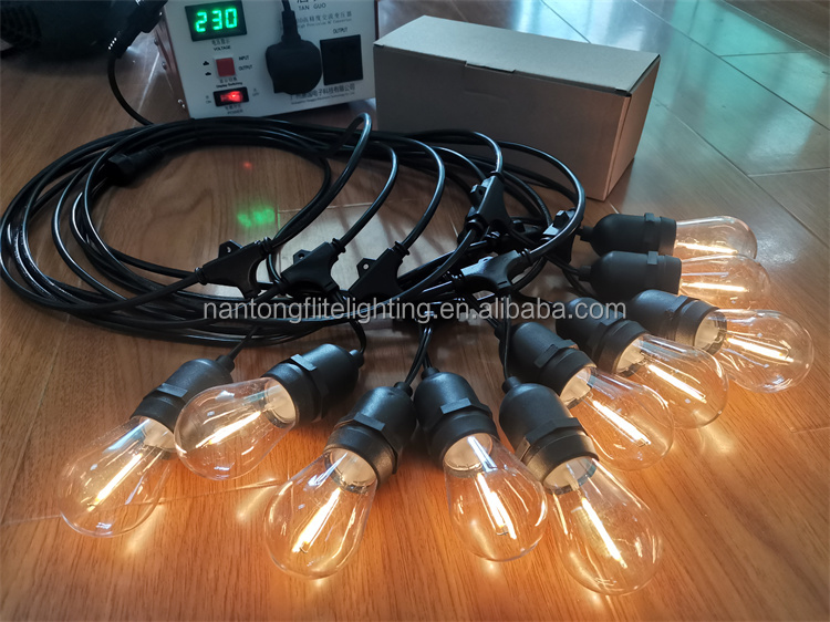 Festoon