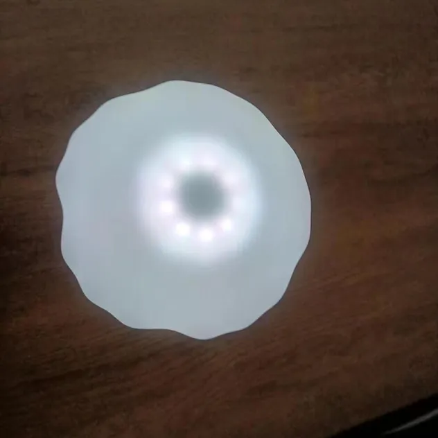 Solar Pool Light 3