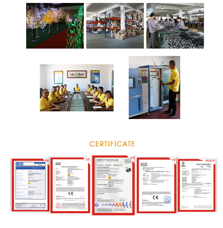Company Image 2