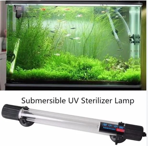 UV Lamp Application