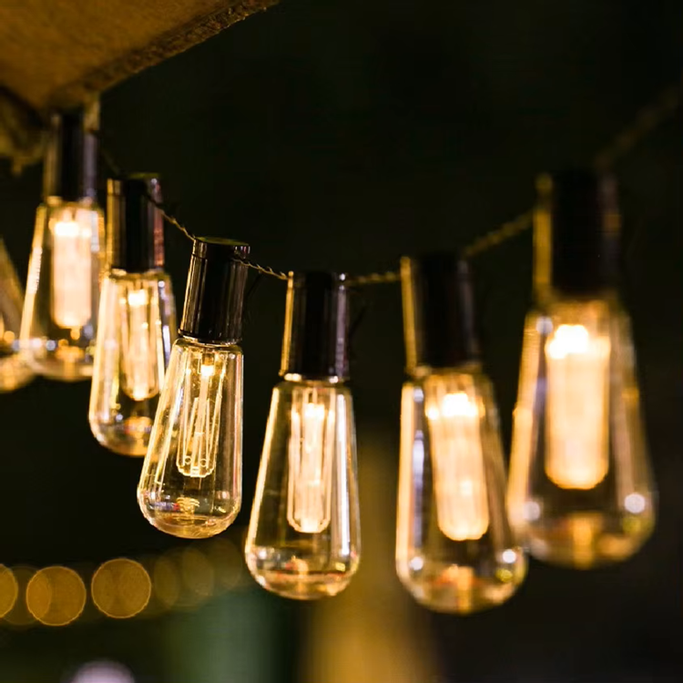 Solar Edison Light Bulb 1