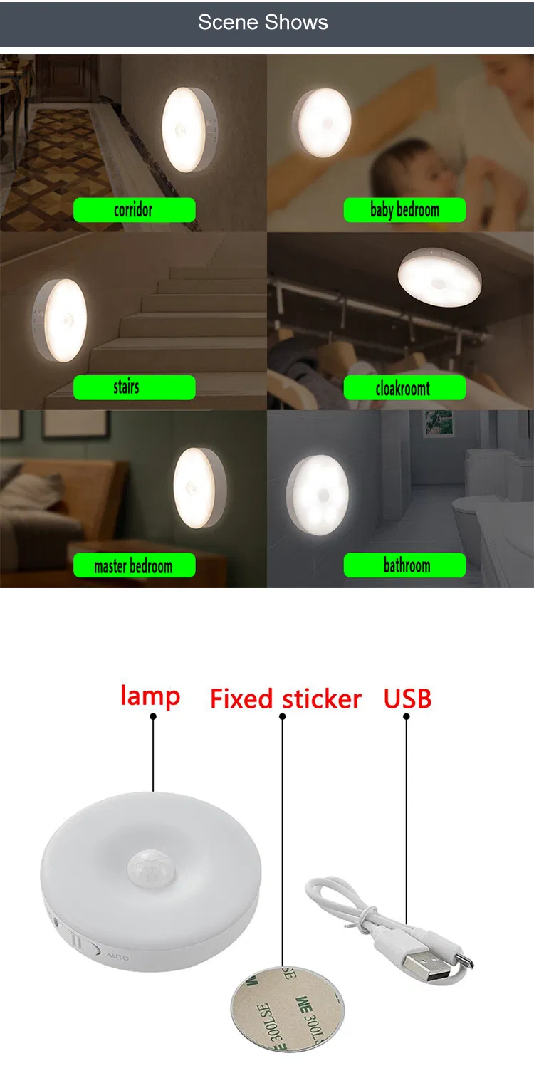 Wireless Induction Lamp