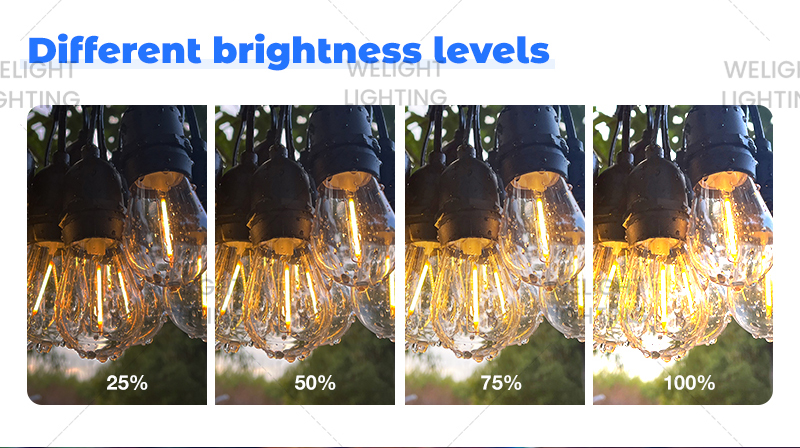 Dimmable Lighting
