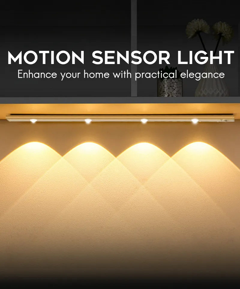 Motion Sensor Light 1
