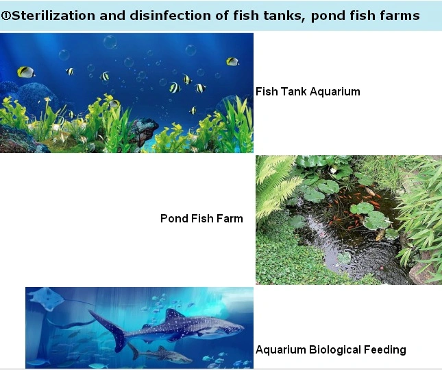 Water Treatment Application