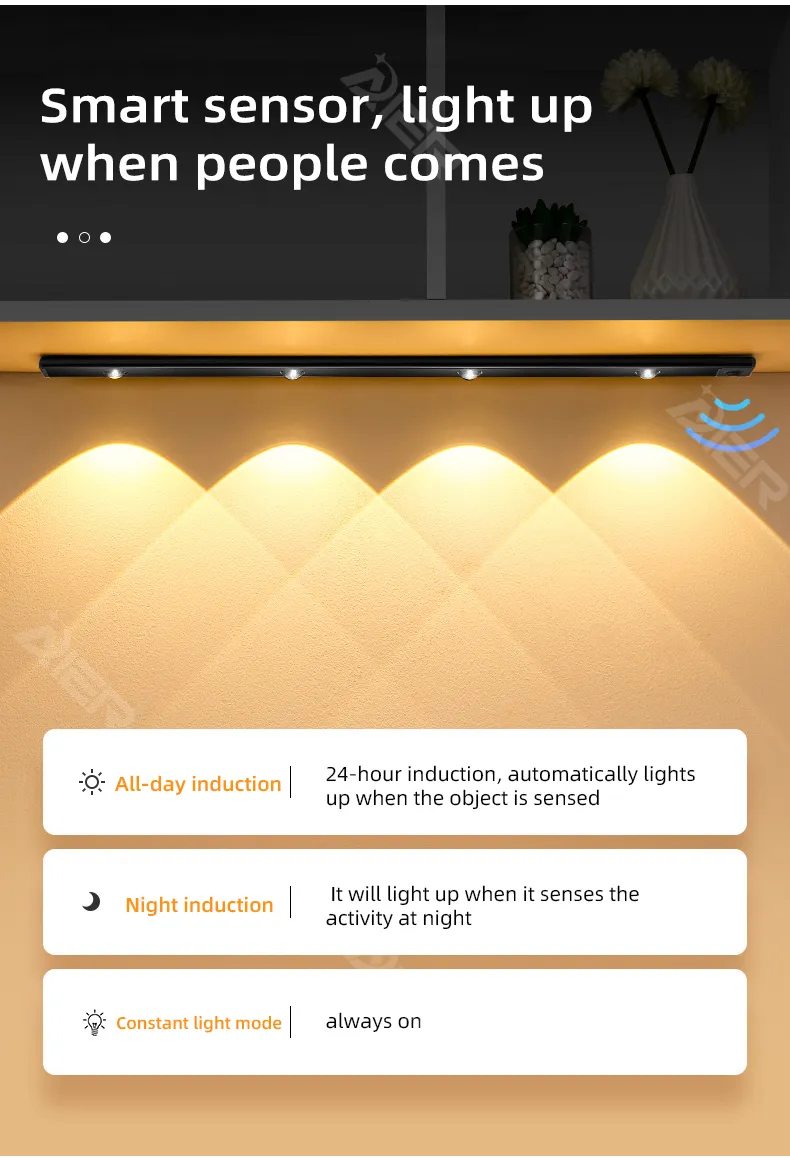 Motion Sensor Light 4