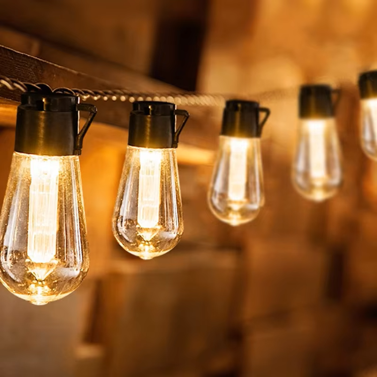Solar Edison Light Bulb 4