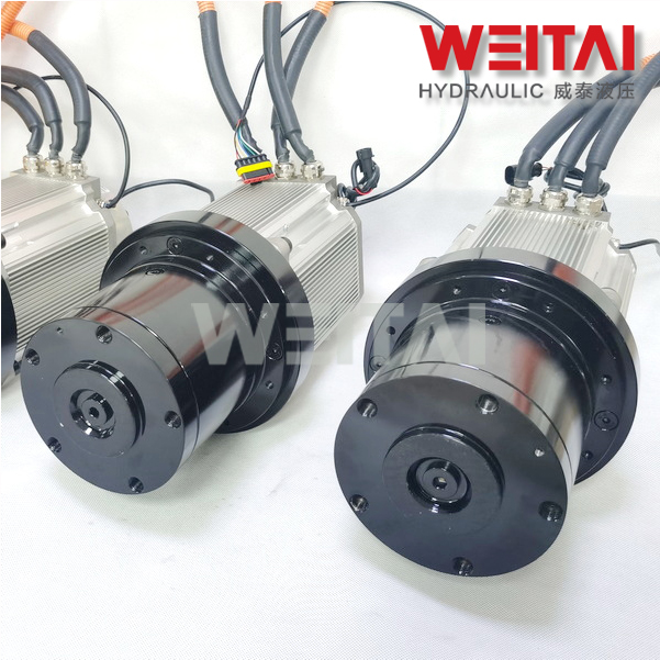 China 325Nm Electric Wheel Drive WED-003 Electric Motor with Gearbox Manufacturer, Suppliers