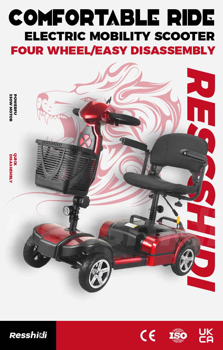 Mobility Scooter Detail 1