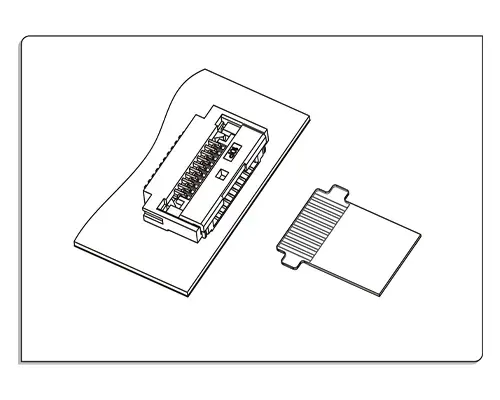 Buckle Type