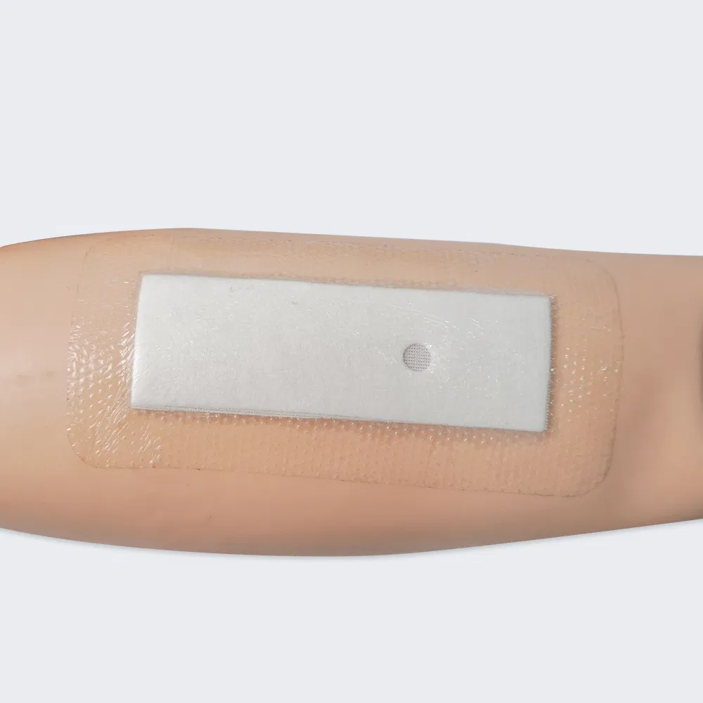 Silicone Foam Dressing 1