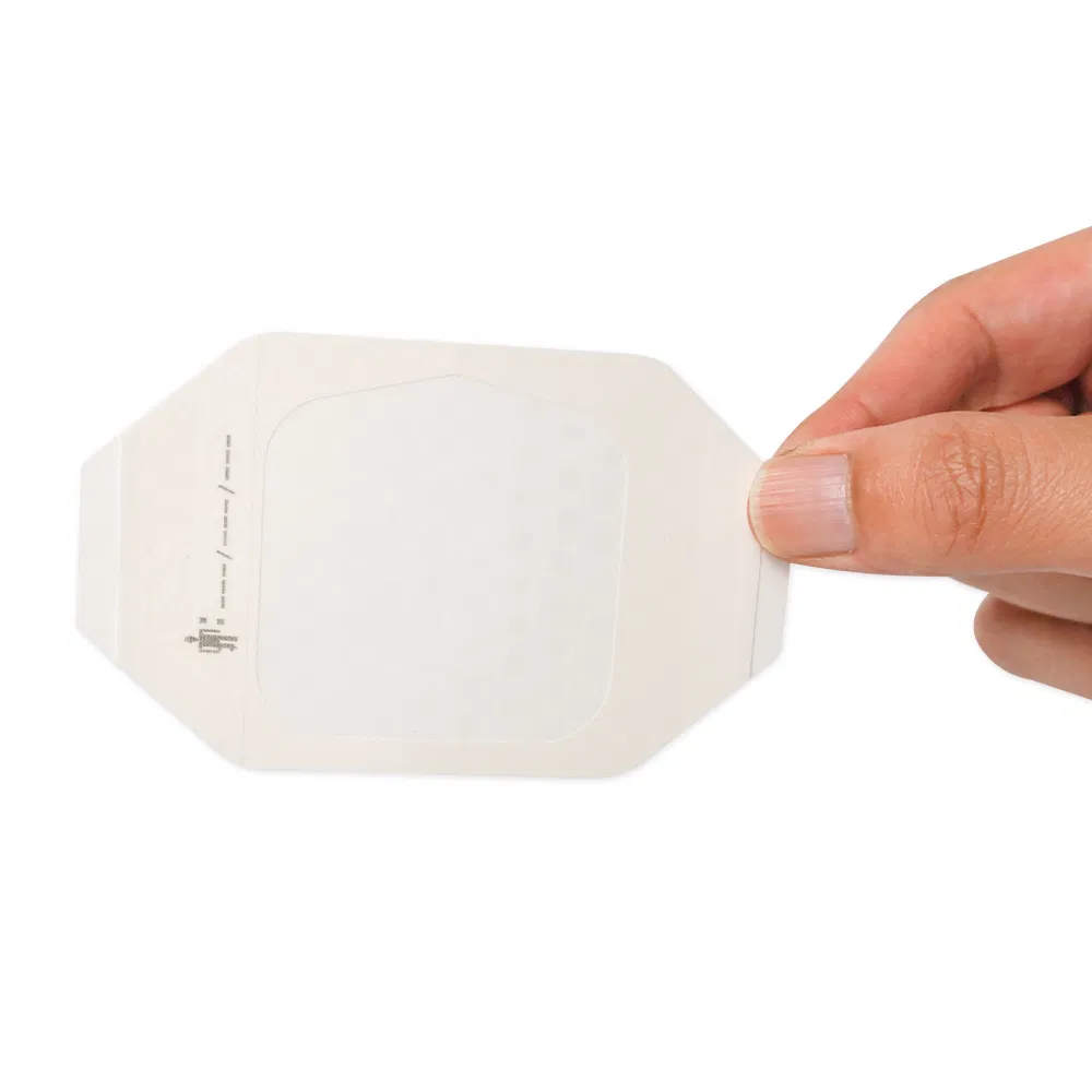 IV Dressing Detail 6