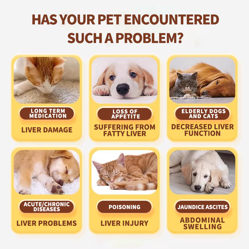 Silybum Marianum Liver Protectant Tablets for Dogs Cats Silybum Marianum Tablets