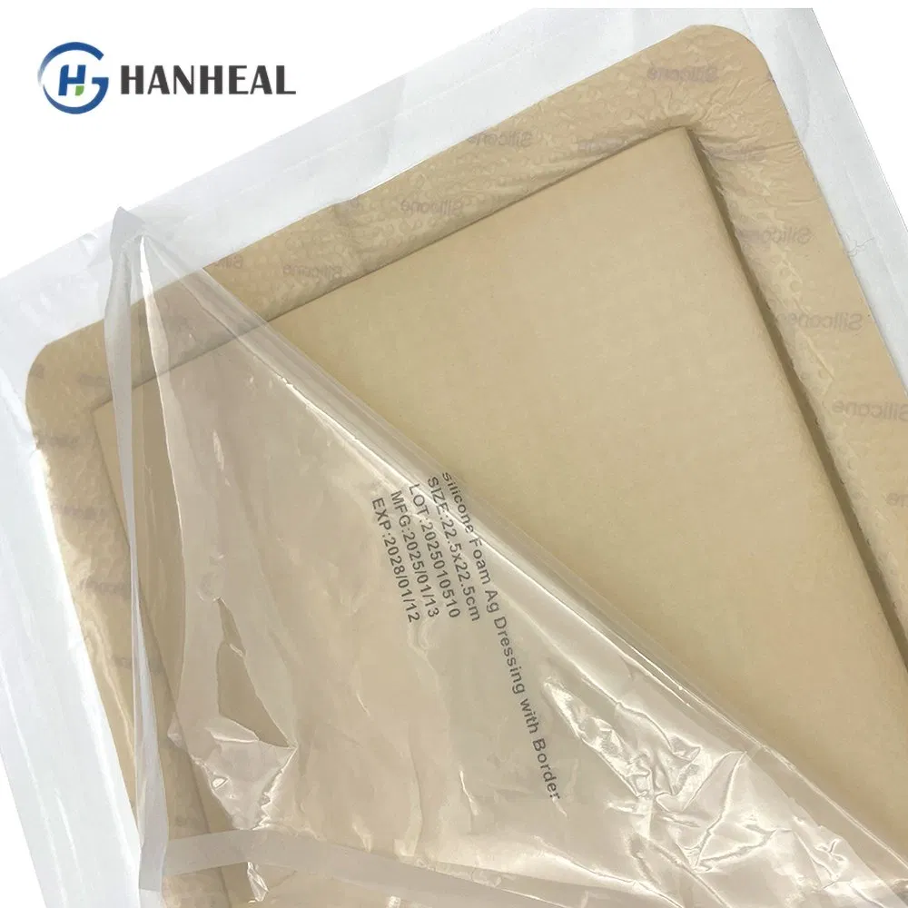 Sustained-Release Silver Antimicrobial Dressing Long-Lasting Infection and Optimal Moist Wound Healing