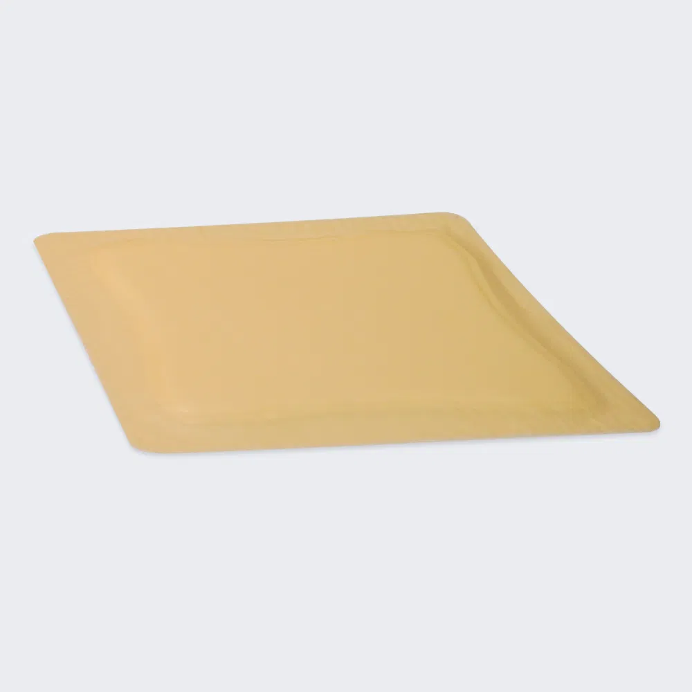 Silicone Foam Dressing 2