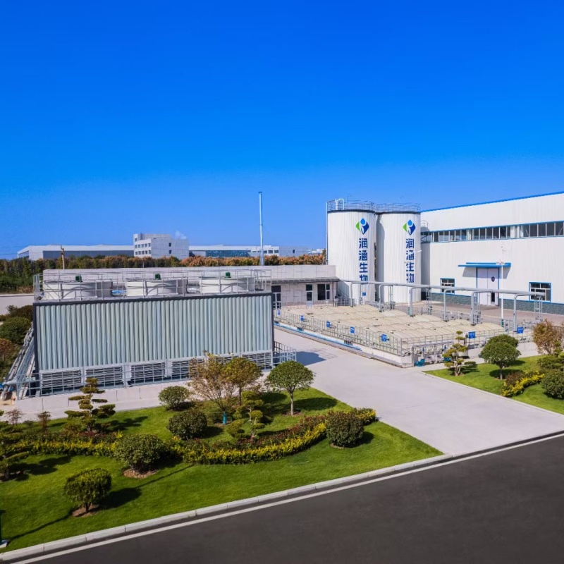 White Vaseline Petroleum Jelly USP/Bp Grade Refined Odorless for High Purity White Vaseline Petrolatum for Skin Protectant Base Cosmetics Pharma