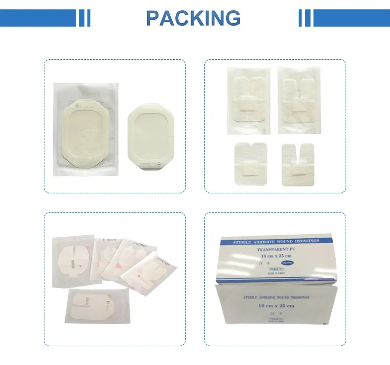IV Catheter Dressing Detail 3