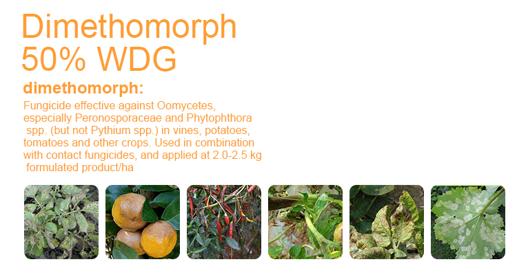 Good Quality Fungicide Dimethomorph (95%TC, 50%WP, 80%WDG, 10%EW, 20%SC, 500SC)