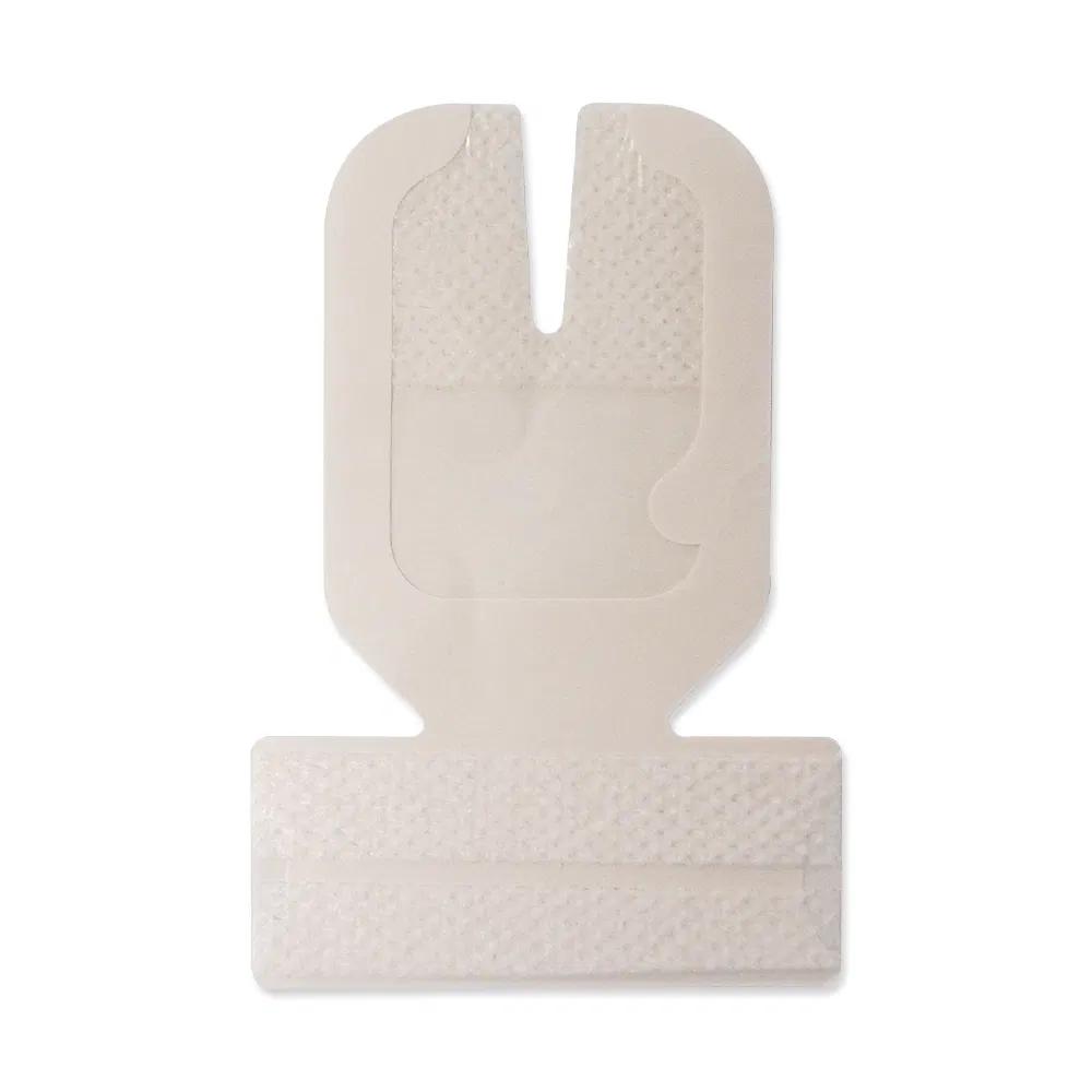 IV Dressing Detail 3