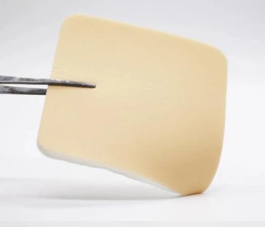 Antimicrobial Silver Foam Dressing for Wound Care