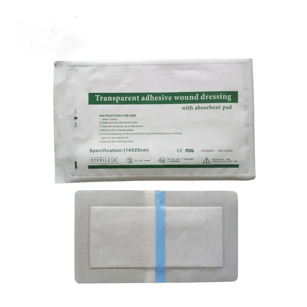 Chinese Manufacturer Original Made CE Certificated Sterile Waterproof Transparent Wound Dressing Island Type with Absorbent Pad