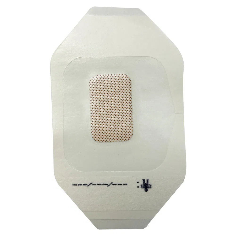 Wound Dressing Application 1