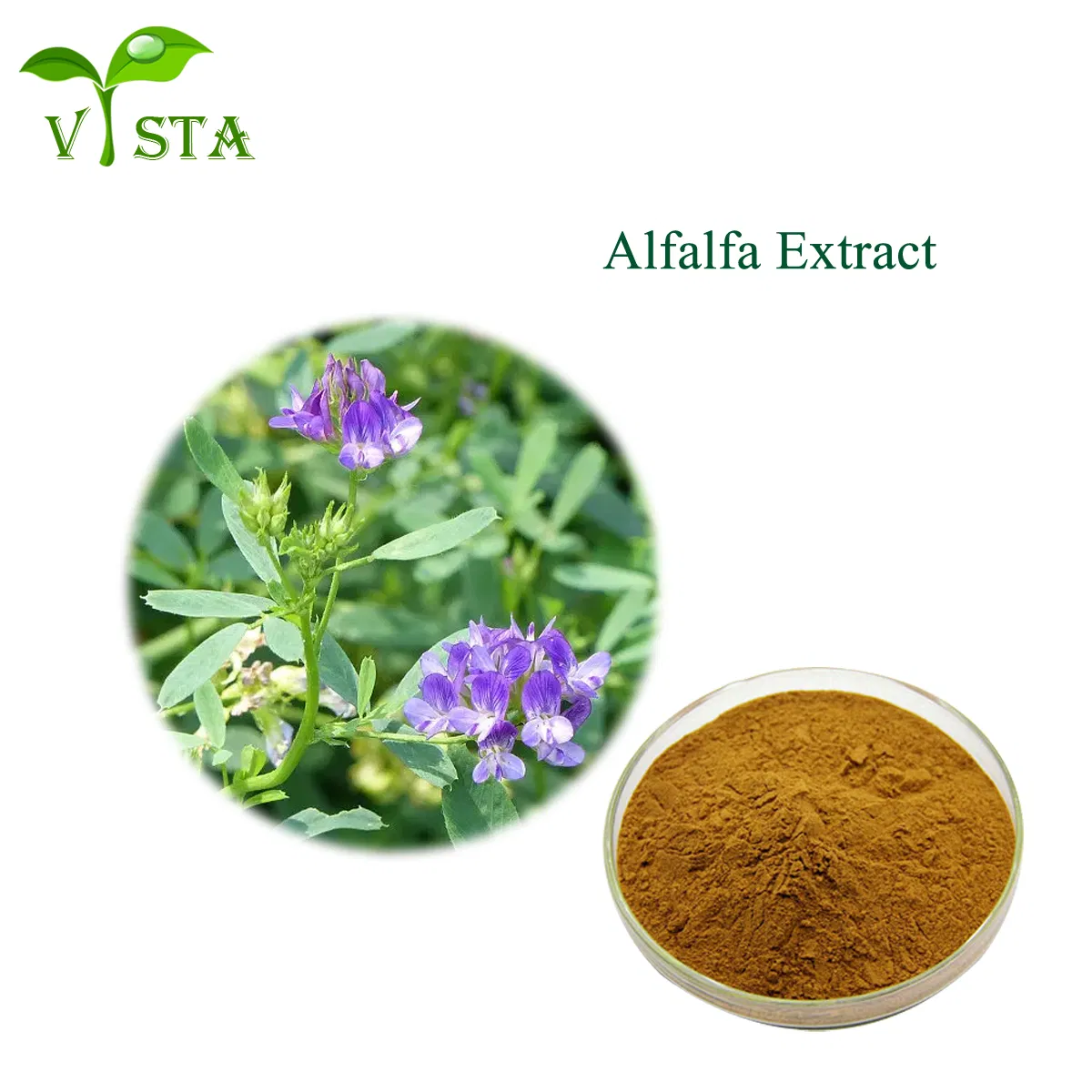 Wholesale Healthcare Supplentment Lucerne Extract for Skin Revitalizer and Protectant