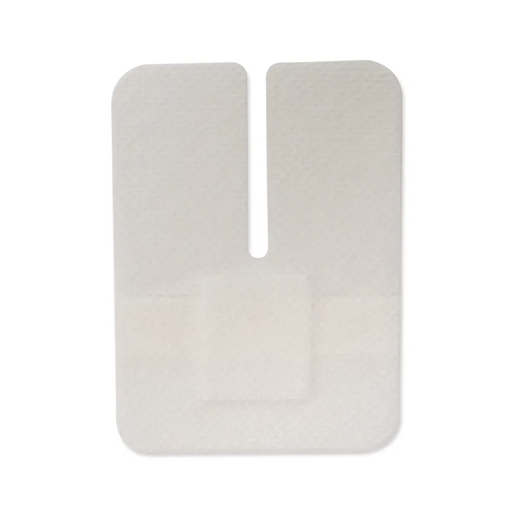 IV Dressing Detail 4