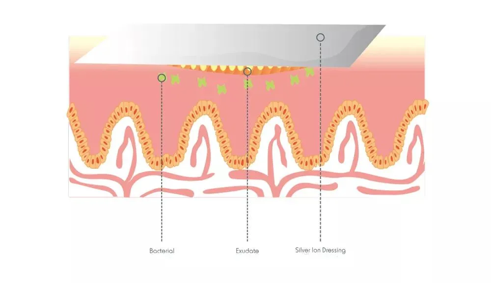 Function Principle Map