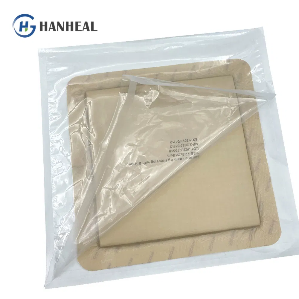 Sustained-Release Silver Antimicrobial Dressing Long-Lasting Infection and Optimal Moist Wound Healing