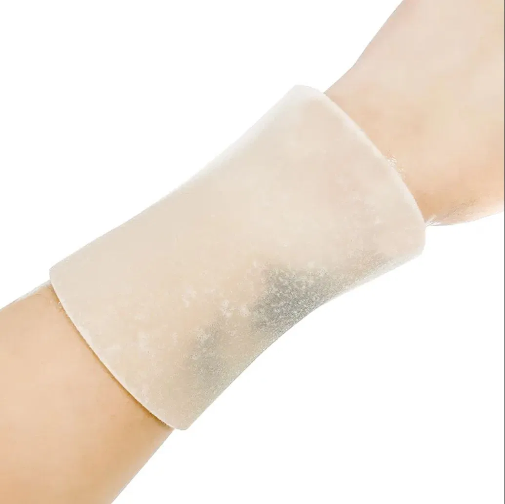 Hydrogel Burn Dressing with Silver Ions for Enhanced Antimicrobial Protection and Quick Pain Relief
