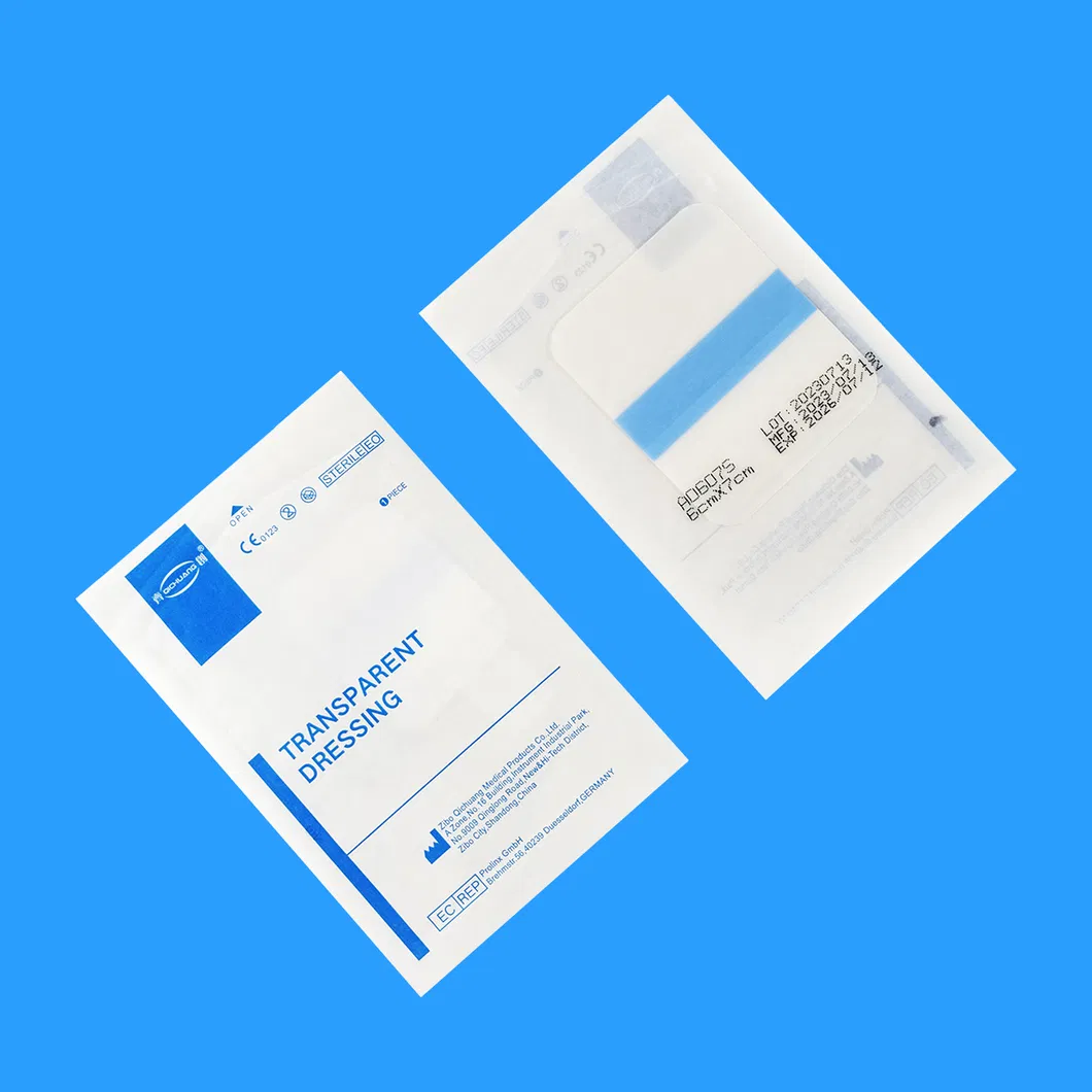 Medical Dressing Detail