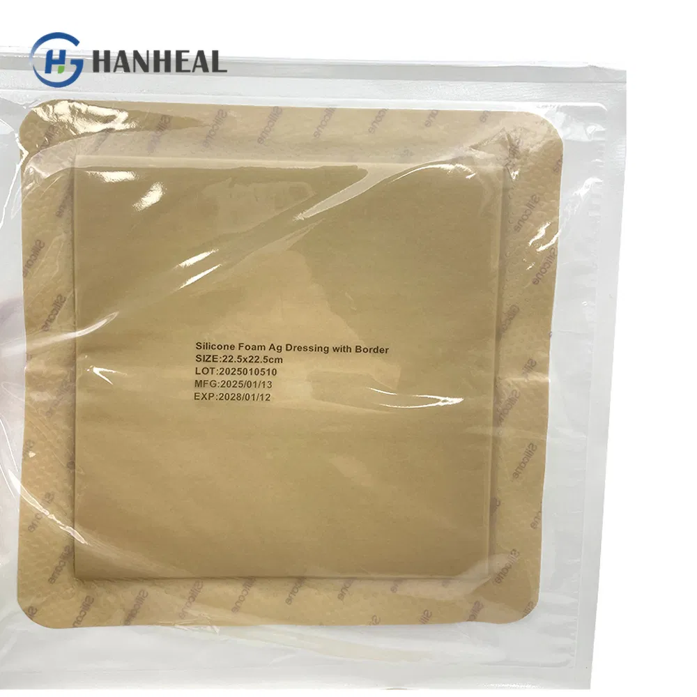 Sustained-Release Silver Antimicrobial Dressing Long-Lasting Infection and Optimal Moist Wound Healing