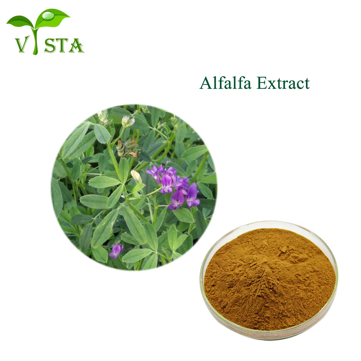 Wholesale Healthcare Supplentment Lucerne Extract for Skin Revitalizer and Protectant