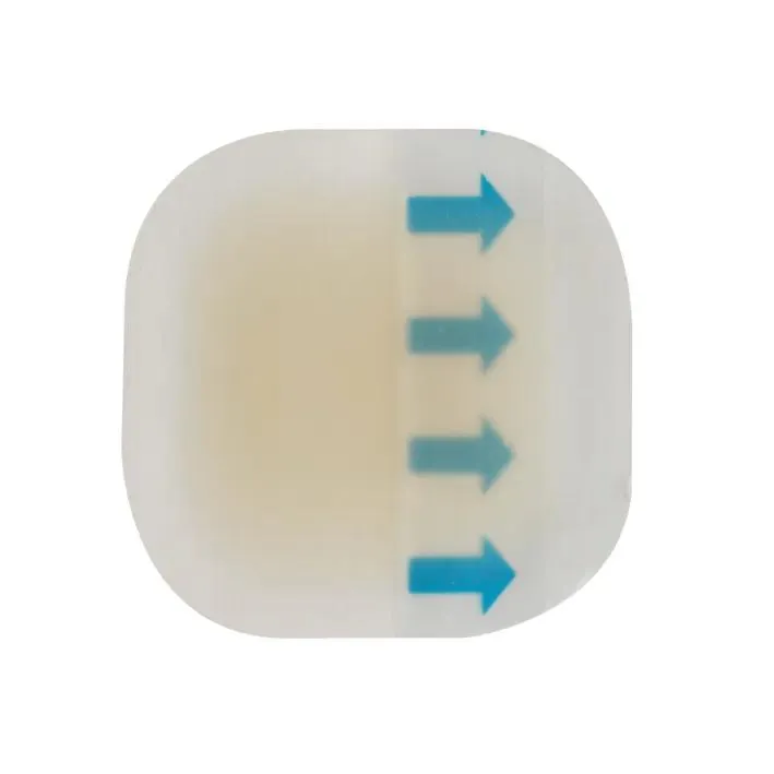 Wound Dressing Detail 1