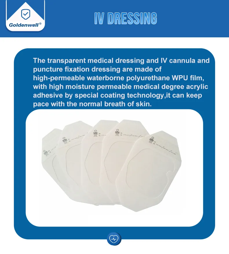 IV Catheter Dressing Detail 1