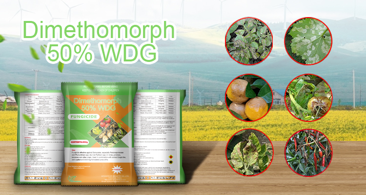 Good Quality Fungicide Dimethomorph (95%TC, 50%WP, 80%WDG, 10%EW, 20%SC, 500SC)