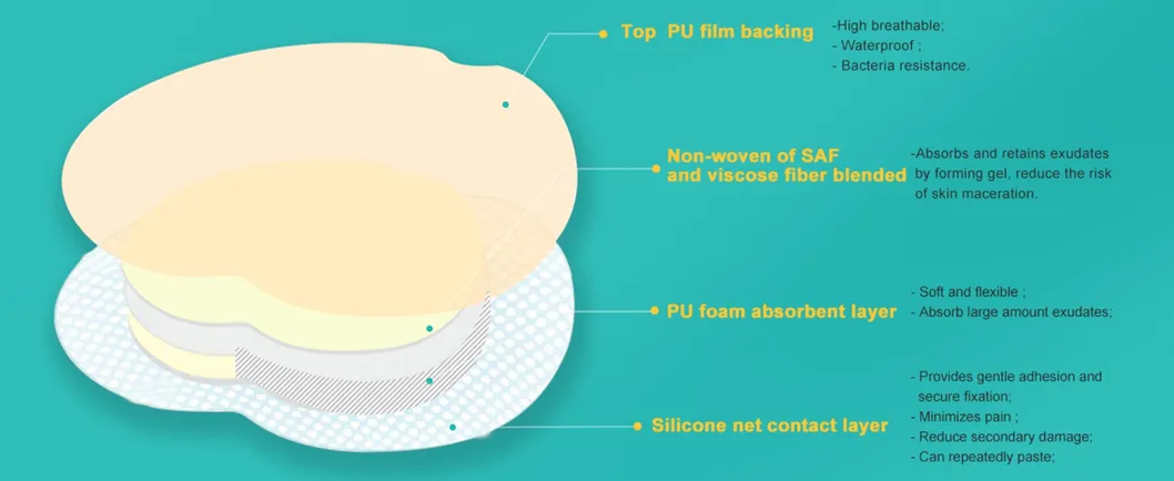 Foam Dressing Dimensions