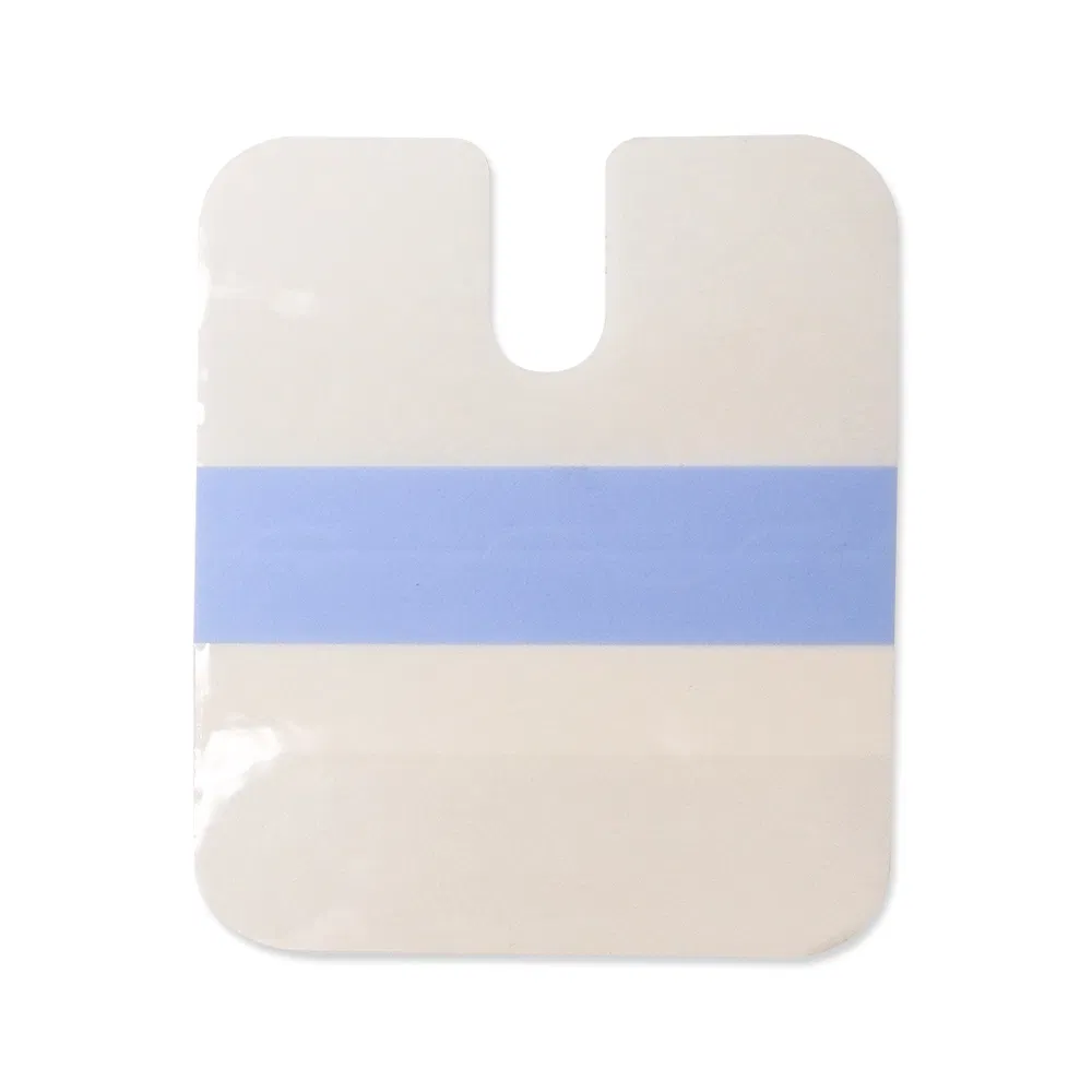 IV Dressing Detail 2