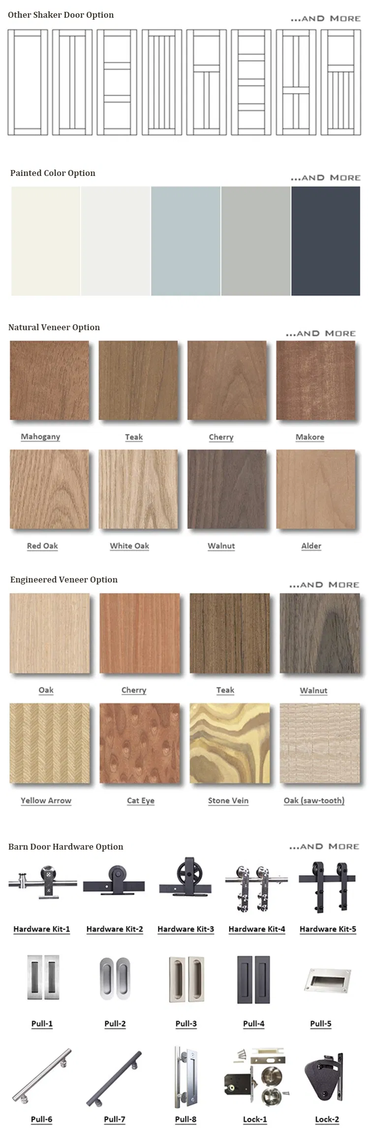 Door Skin Options Detail