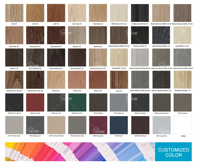 Customized Design Door