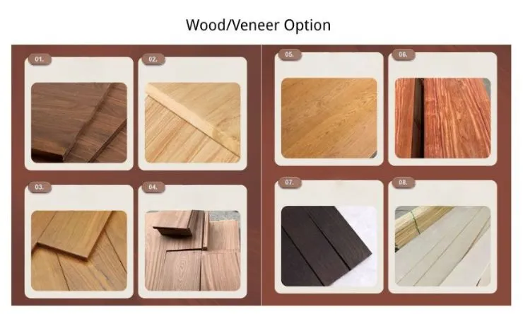 Solid Wooden Door Showcase 3