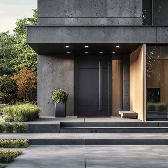 Entrance Pivot Door 3