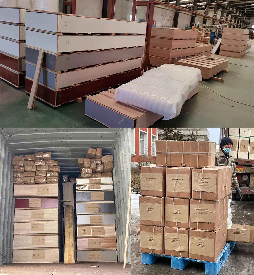 Standard Export Carton