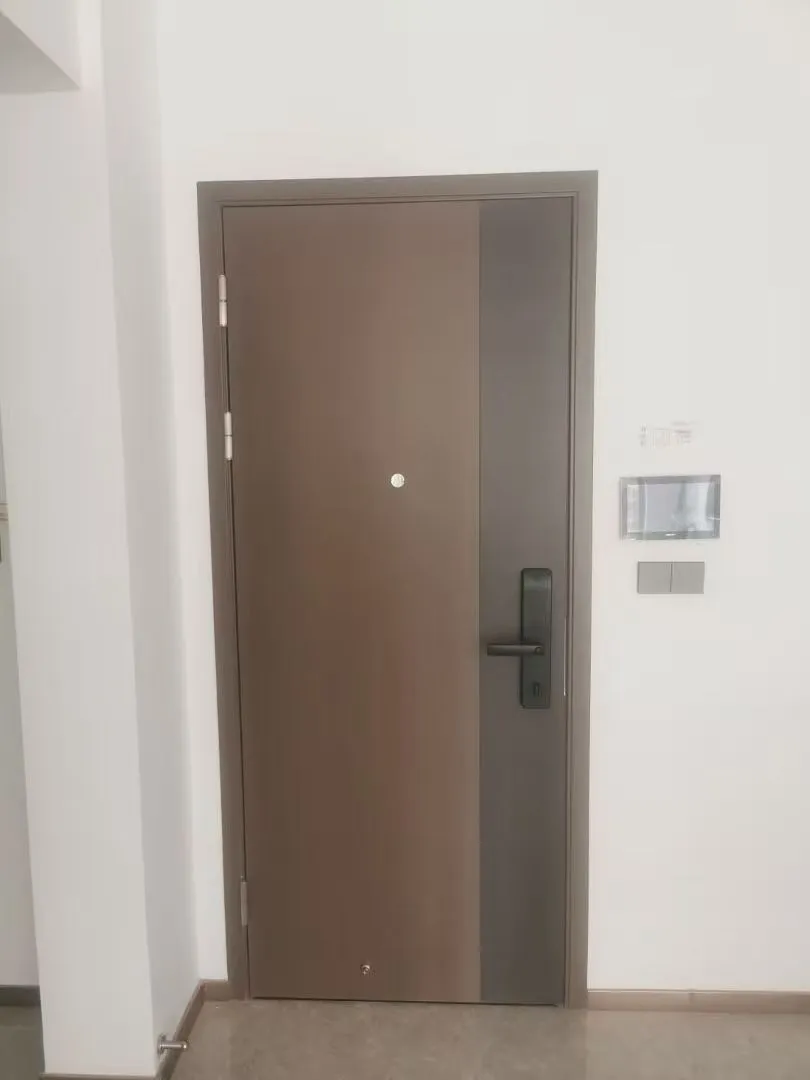 Modern Door Design 1
