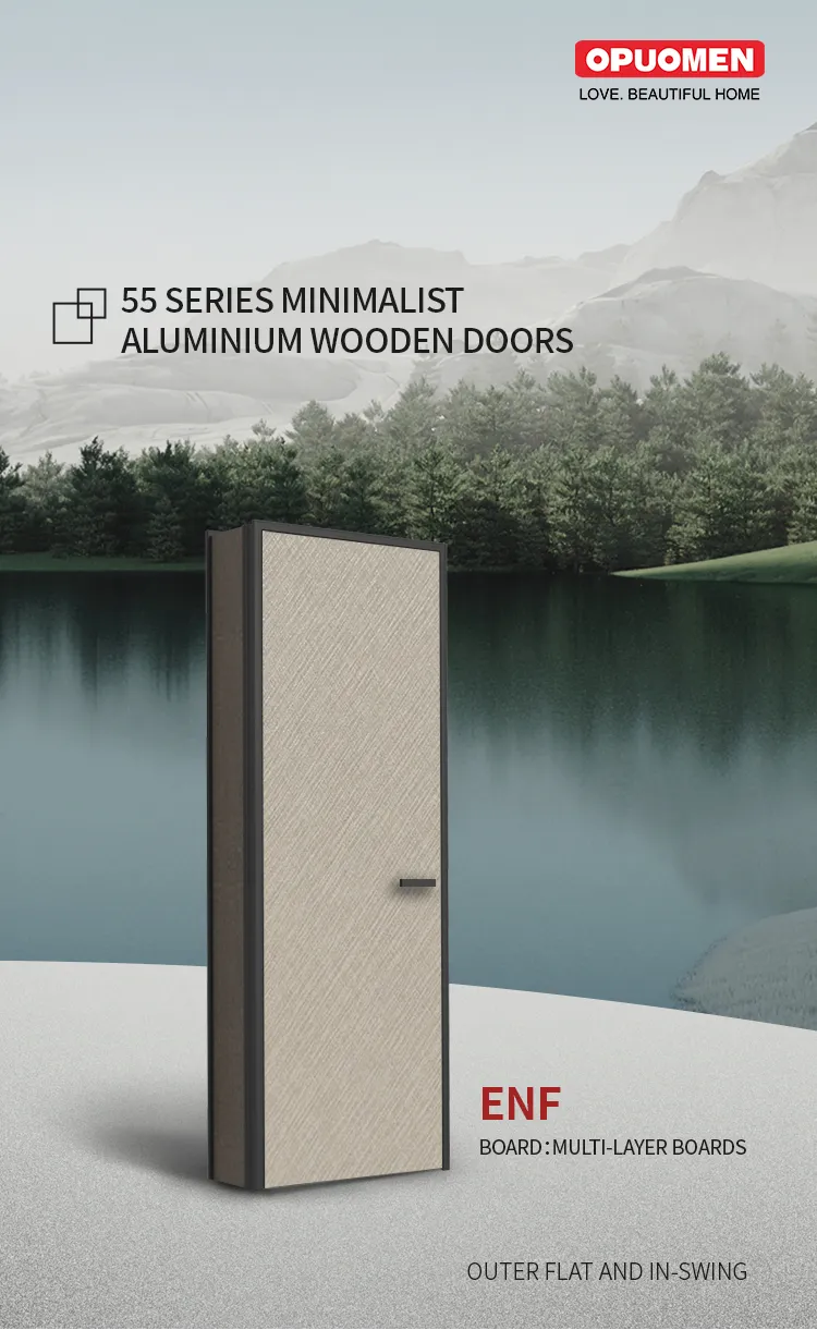 Minimalist Interior Door