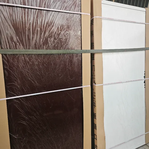 Color Steel Door Sample 3