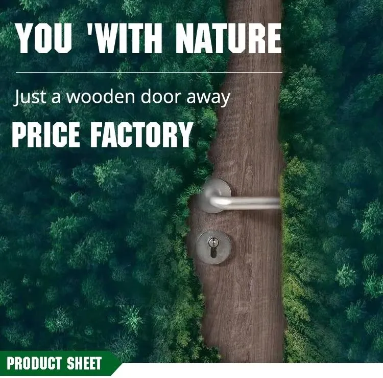 Modern Wooden Door Design