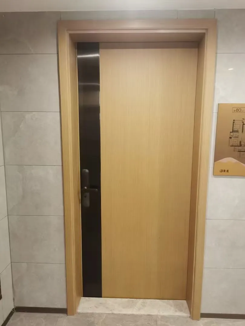 Modern Door Design 2