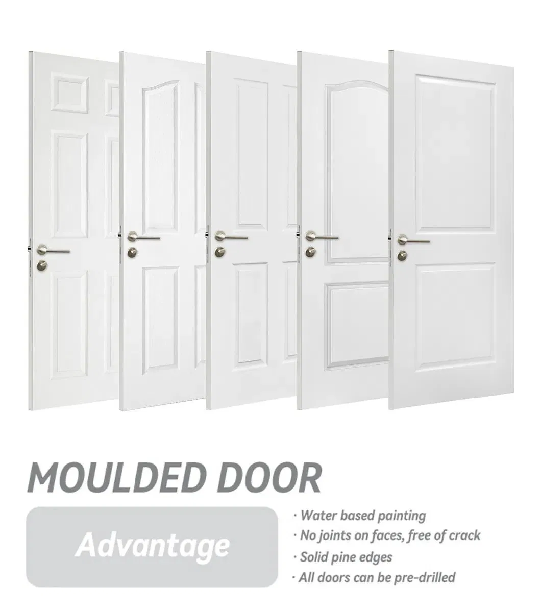 6 Panel Interior Hollow Core Molded Door